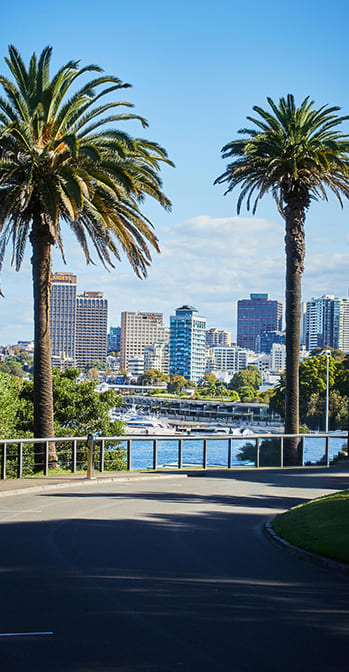 Contact Us | The Social Agency